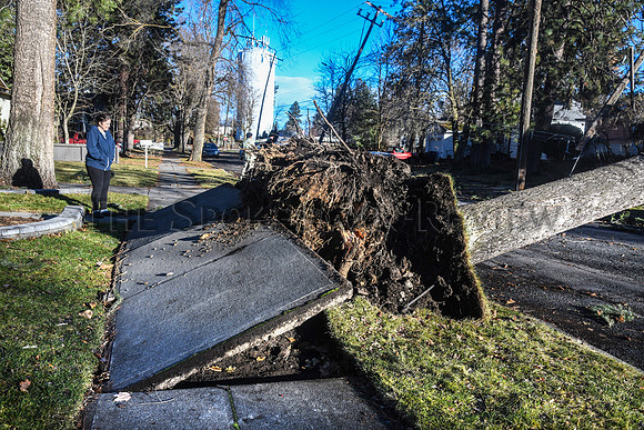 SRX WINDSTORM 6