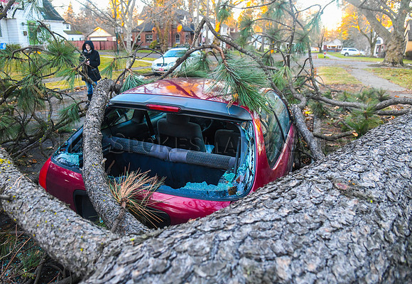 SRX WIND STORM 5