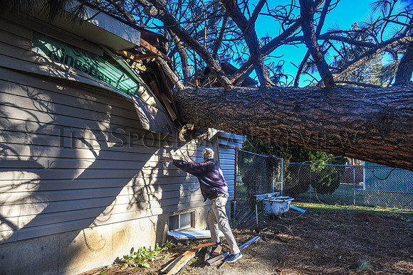 SRX WINDSTORM 8