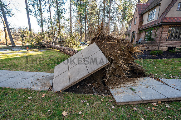 SRX_ WINDSTORM CM 1
