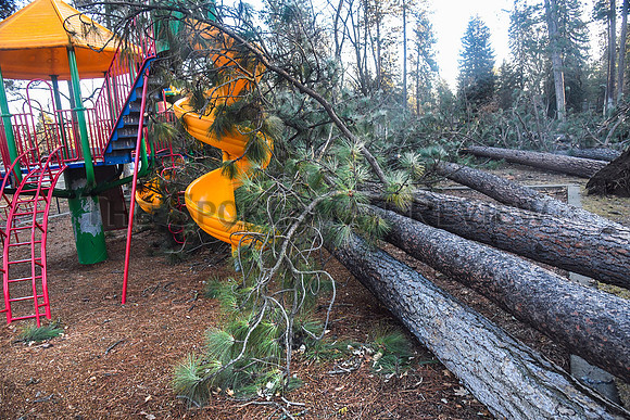 cit_210115_windstorm_sidebar_nwcp