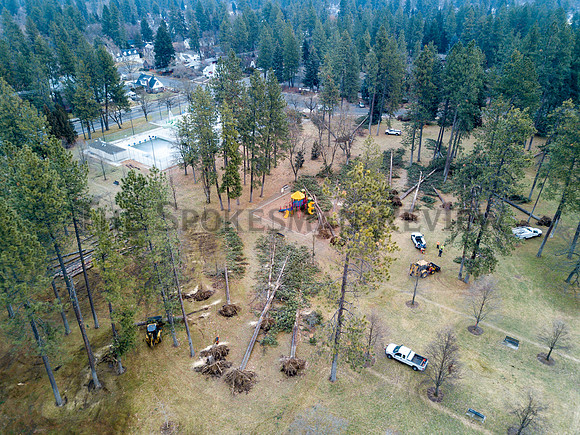 SRX COMSTOCK PARK DAMAGE 7