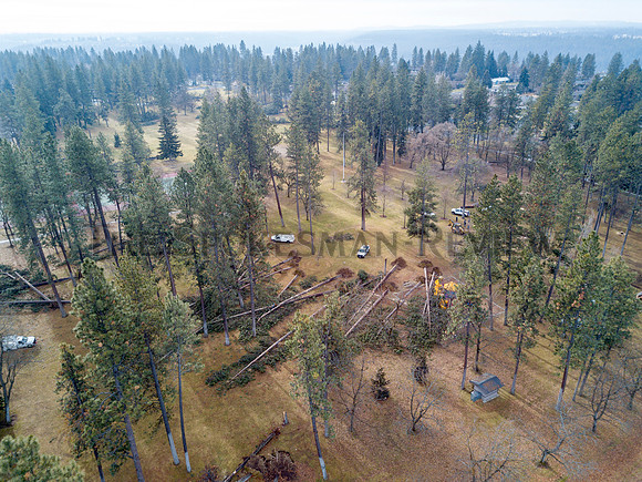 SRX COMSTOCK PARK DAMAGE 3