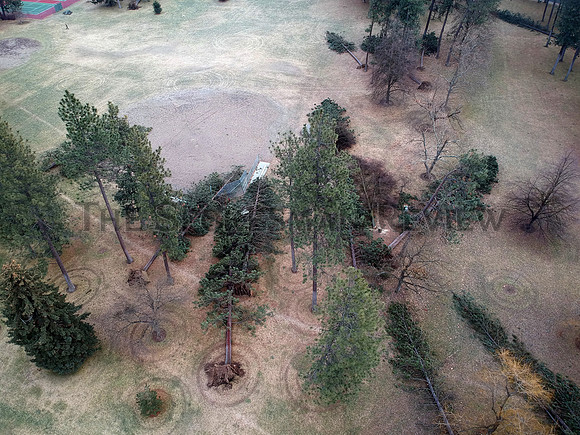 SRX COMSTOCK PARK DAMAGE 6
