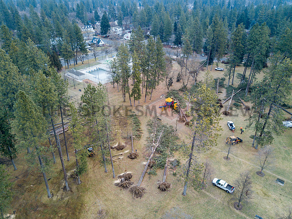 SRX COMSTOCK PARK DAMAGE 2