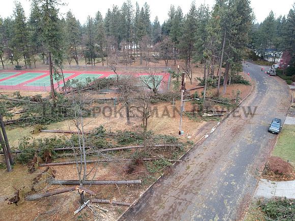 SRX COMSTOCK PARK DAMAGE 1