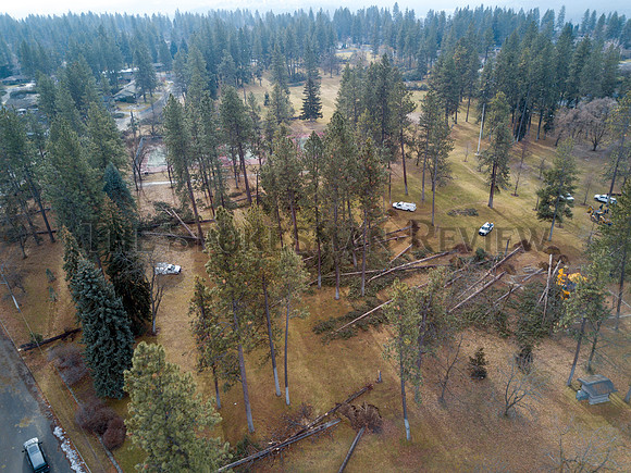 SRX COMSTOCK PARK DAMAGE 4