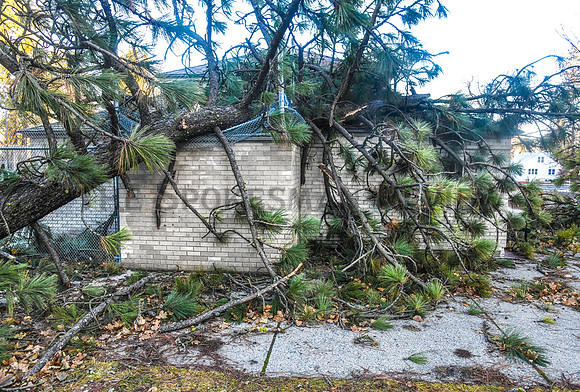 SRX WINDSTORM COMSTOCK