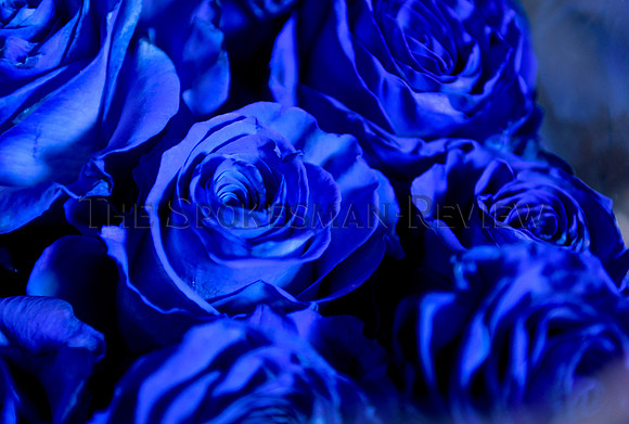 srx_Valentine_Flowers_1_.jpg