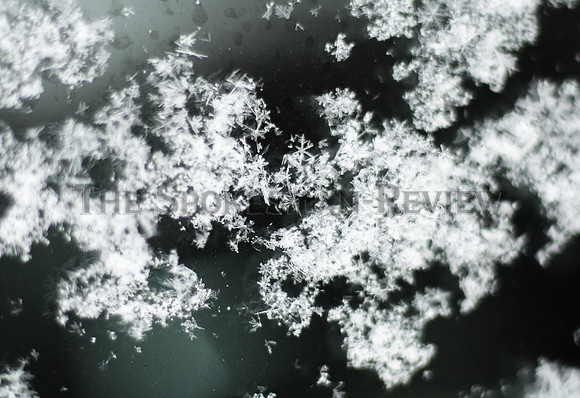 SRX SUNDAY SNOW 3