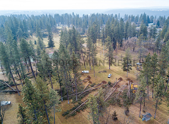 SRX COMSTOCK PARK DAMAGE 3