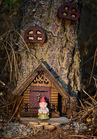 SRX_GNOME HOMES 5
