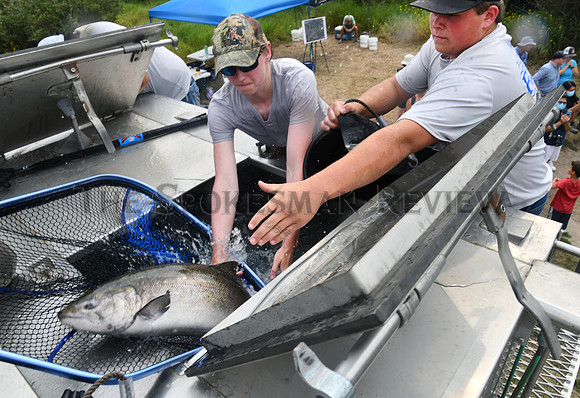 SRX SALMON RELEASE 7