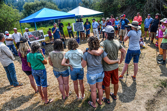 SRX SALMON RELEASE 9