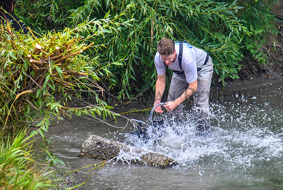 SRX SALMON RELEASE 3