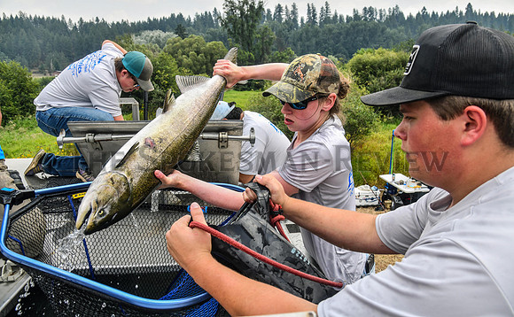SRX SALMON RELEASE 1