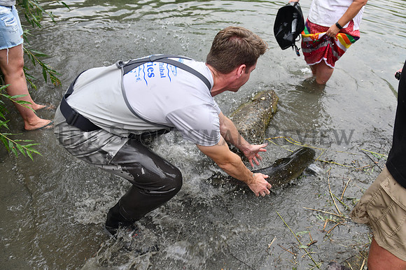 SRX SALMON RELEASE 5