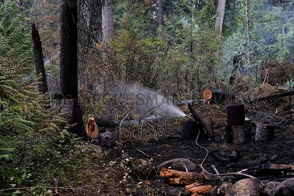SRX_CEDARCREEKFIRE_008_TT