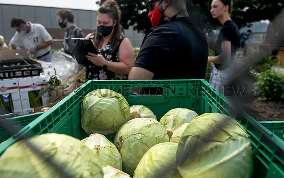 cit_210813_sfccgarden_photo2