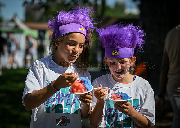 HOOPFEST 3