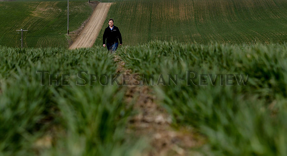 Wheat_Farmer_.jpg