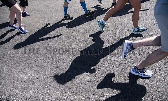 BLOOMSDAY DP 15