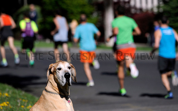 BLOOMSDAY 2016 - 16