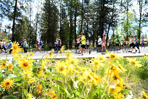 srx BLOOMSDAY 2019 JT 19