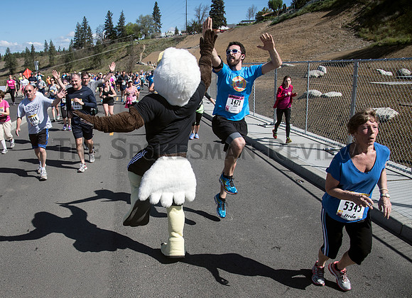 BLOOMSDAY DP 14
