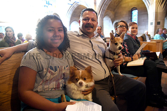 BLESSING OF THE ANIMALS 1