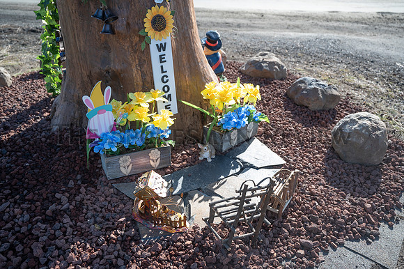 GNOME HOUSE 8