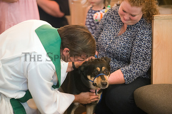 BLESSING OF THE ANIMALS 5
