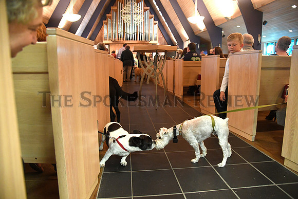 BLESSING OF THE ANIMALS 8