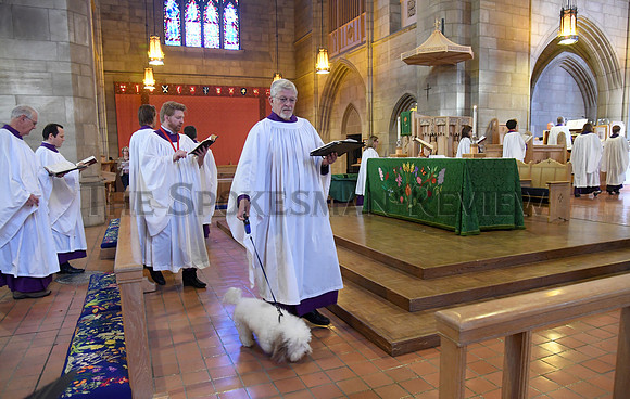 BLESSING OF THE ANIMALS 3